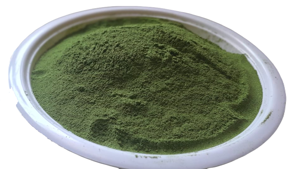 Moringa Powder